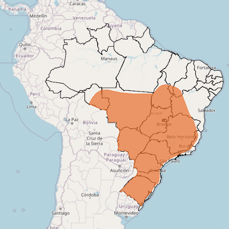 Inmet projeta temperatura 5º C acima da média nos próximos dias