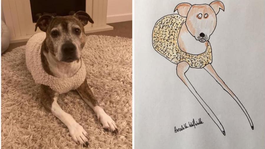 Phil Heckels resolveu criar desenhos de cães e gatos para ajudar uma instituição de caridade - Reprodução/Facebook/Pet Portraits By Hercule