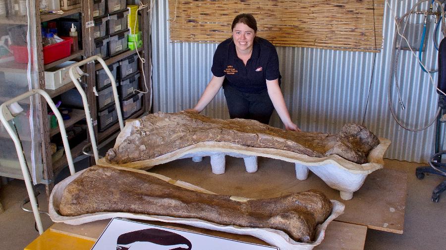 Dinossauro gigante descoberto no outback da Austrália foi identificado como uma nova espécie e reconhecido como um dos maiores que já vagou pela Terra, de acordo com paleontólogos - Scott Hocknull / Museu de História Natural de Eromanga / AFP