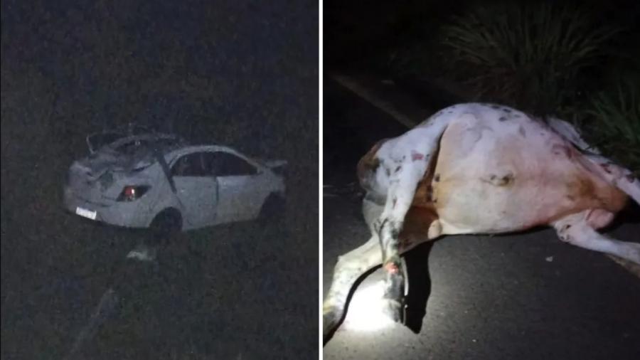 Dois homens morreram após carro bater contra vaca em Goiás  - Divulgação/PRE