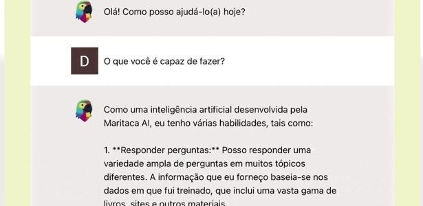 Chatbot ?alfabetizado? no Brasil supera ChatGPT, mas perde em matemática