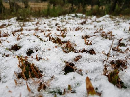 Onda de frio que se aproxima deve ser a mais forte do ano - Imagens Mycchel Hudsonn Legnaghi/São Joaquim Online