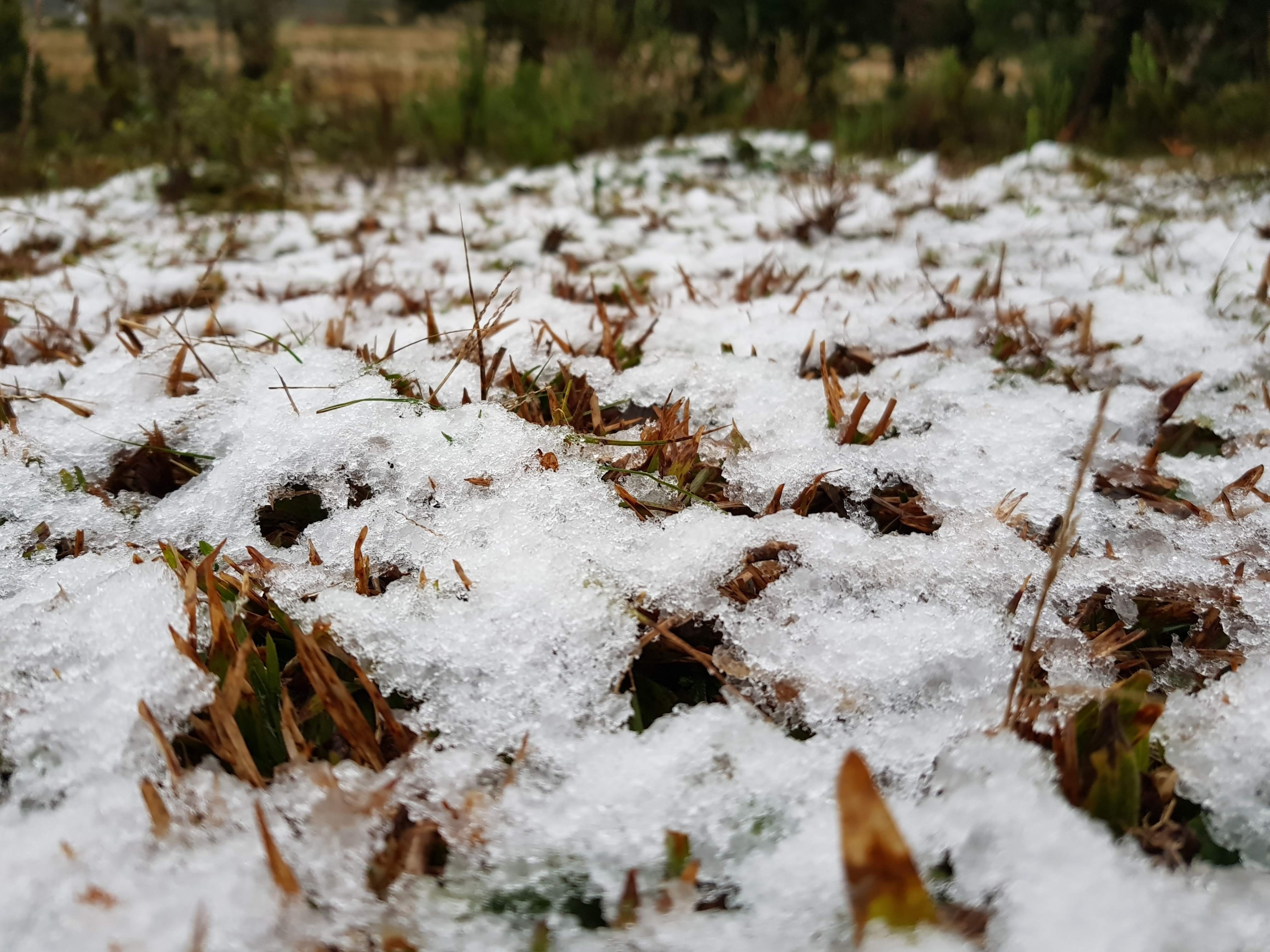 São Paulo vai registrar recorde de frio nos próximos dias, mas sem chance de nevar