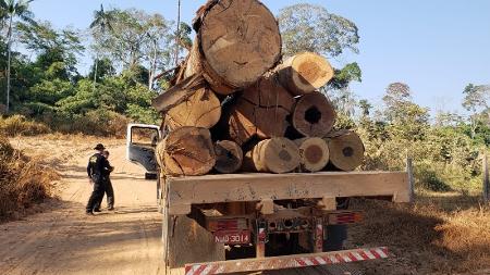 Madeira apreendida pela Força-Tarefa Amazônia em operação feita em Ajuricaba (AM) - Divulgação