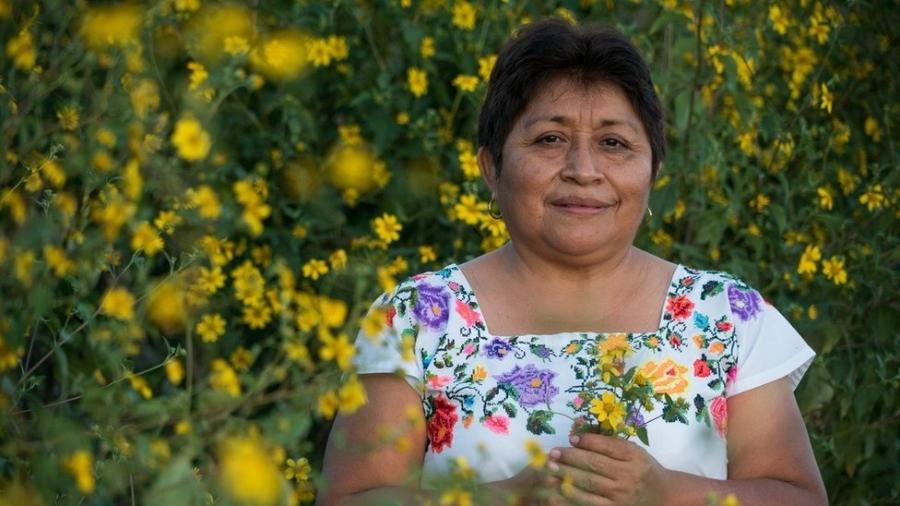 Leydy Pech, de 55 anos, sustenta sua família através da apicultura - Fundação Goldman