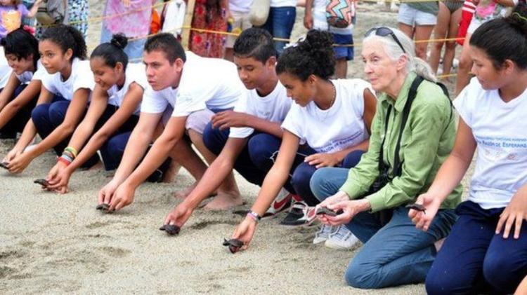 O programa Roots & Shoots  - JANE GOODALL INSTITUTE - JANE GOODALL INSTITUTE