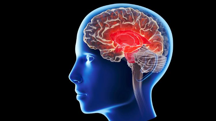 Especialistas acreditam que é preciso mirar o cérebro ao propor novos medicamentos para obesidade