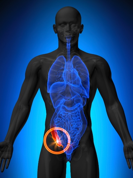 Apêndice - iStock - iStock