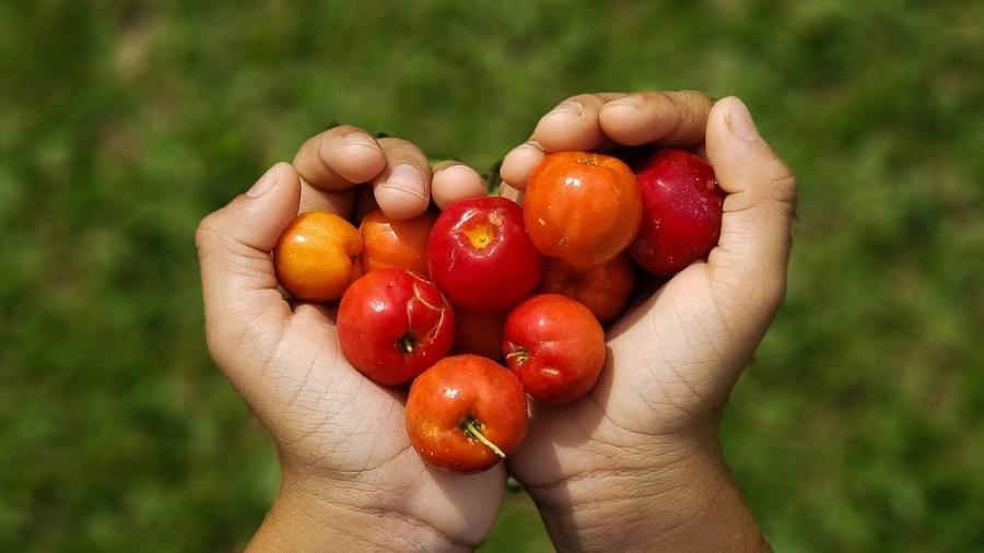 Brincar na natureza traz benefícios para a saúde das crianças - Liliane Farias/Agência Brasil