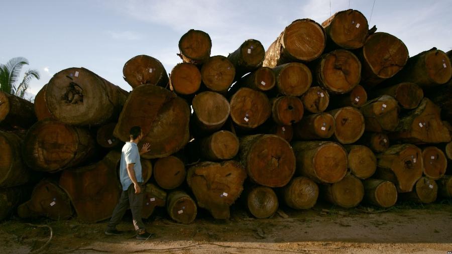 Toras de árvores amazônicas prontas para serem vendidas em depósito próximo ao rio Jamari, em Rondônia - BBC