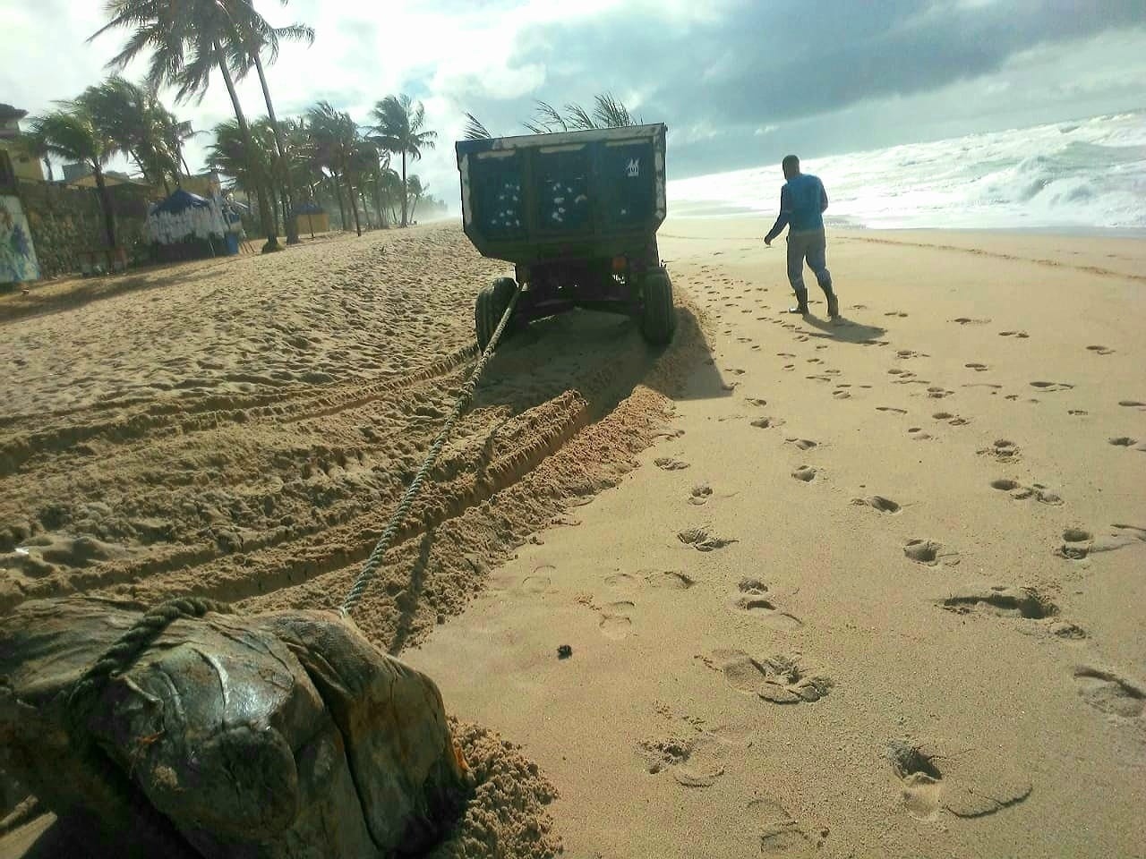 Fardos de navio nazista 'driblam' maré, surgem em Salvador e viram mistério