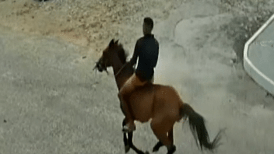 Homem vem realizando assaltos montado a cavalo há cerca de 2 semanas, segundo testemunhas - Reprodução/TV Verdes Mares