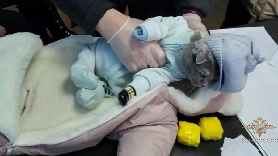 Mulher é presa na Rússia com gato e drogas dentro de roupa de bebê - Reprodução/Ministério do Interior da Rússia