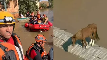 Arquivo pessoal Thiago Régis Franco Almeida/Reprodução/GloboNews