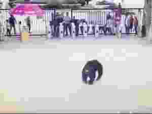 Reprodução de vídeo