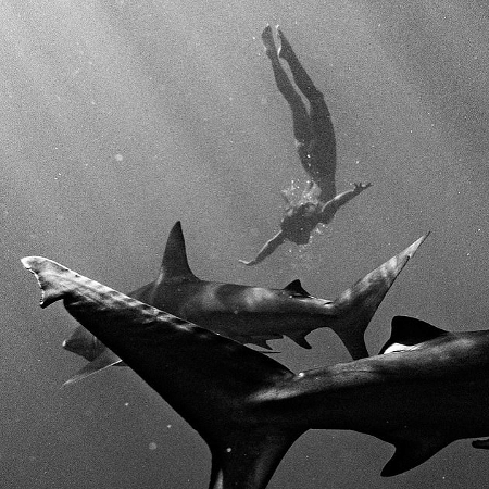 Modelo Marisa Papen faz ensaio especial e mergulha nua com tubarões - Reprodução/Instagram/Benjamin Ono/Earth Family/Real Press