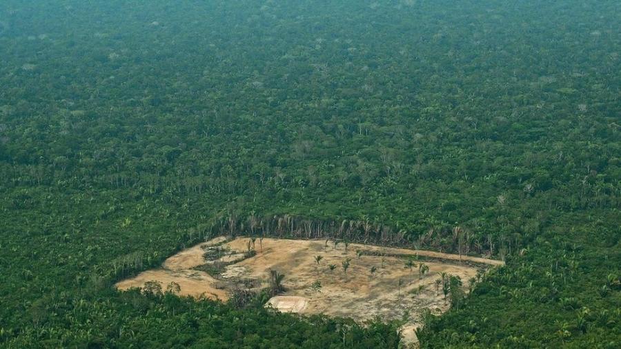"O que está acontecendo no Brasil, sobretudo em relação ao desmatamento, na Amazônia, faz com que agora a Comissão considere que não existem as condições necessárias para levar adiante o processo", diz Ybáñez - AFP