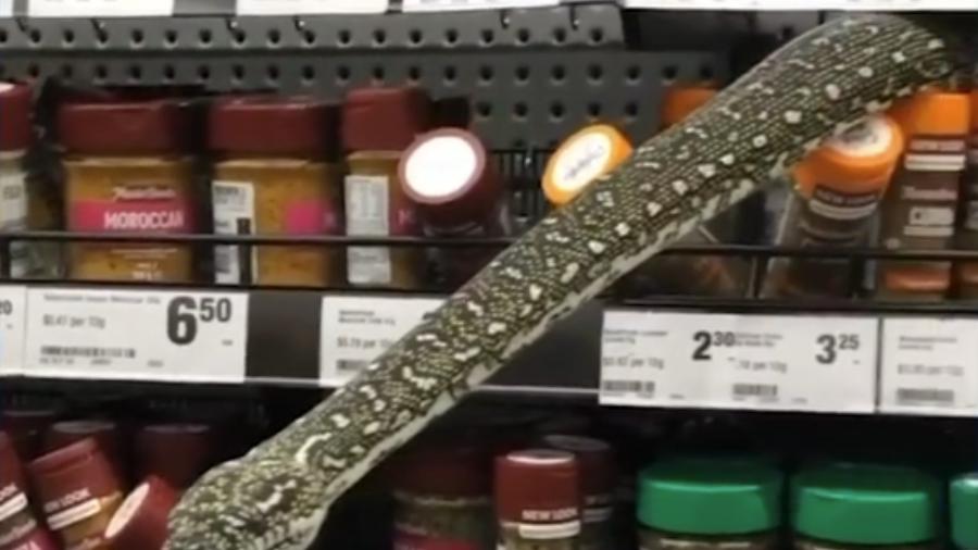 A cobra estava escondida entre os produtos, em uma prateleira, quando decidiu sair, surpreendendo os clientes - Reprodução/Youtube/The Guardian Australia