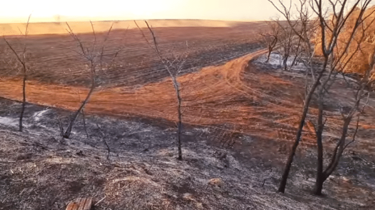 Região rural incêndio - Reprodução/Prefeitura de Morro Agudo - Reprodução/Prefeitura de Morro Agudo