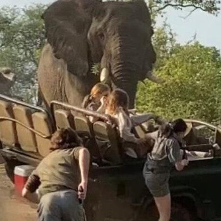 Elefante ataca carro de safári em reserva da África do Sul - Reprodução/Twitter @EdwardthembaSa