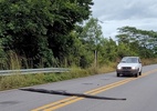 Contador para o trânsito para sucuri de 5 m atravessar rodovia: 