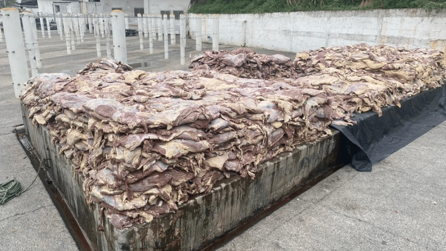 Na fábrica, os agentes encontraram as carnes expostas ao sol, abertas em pedras e ao ar livre, sem proteção contra aves e insetos