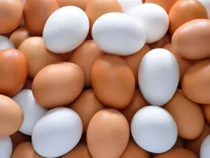 Por que os ovos vermelhos são mais caros que os brancos?