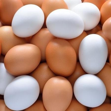 Alimentação de galinhas influi nos preços de diferentes tipos de ovos