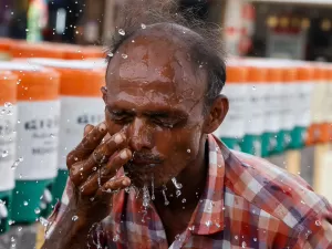 Animais desmaiam e água fica escassa em onda de calor escaldante na Índia