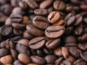Governo divulga lista de cafés impróprios para consumo; veja lotes e marcas