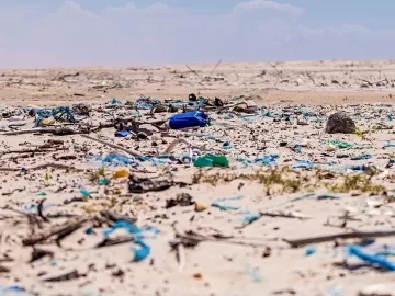 Praia de Florianópolis é a mais poluída do país, revela raio-x do litoral