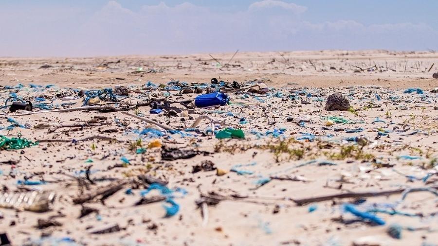 Praia de Florianópolis é a mais poluída do país, revela raio-x do litoral - ONG Sea Shepherd Brasil