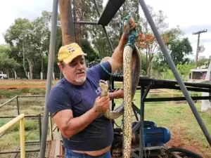 Sucuri de 4 m interrompe fornecimento de água em cidade no interior de SP