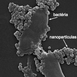 Nanopartículas com tamanho entre 5 e 500 nanômetros têm na parte interna um labirinto de canais onde fica o antibiótico - Mateus Cardoso/LNLS