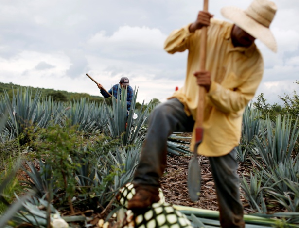Carlos Jasso/Reuters