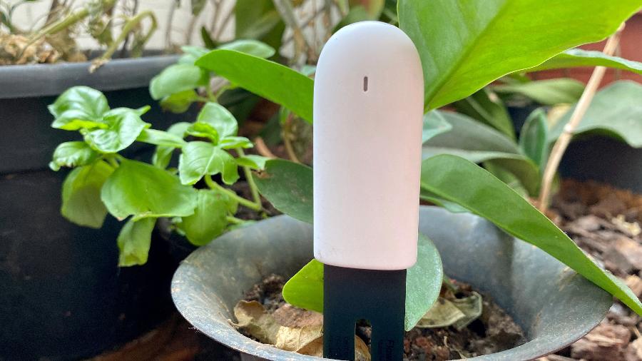 Sensor para plantas Flower Care, da Xiaomi - Marcella Duarte/UOL
