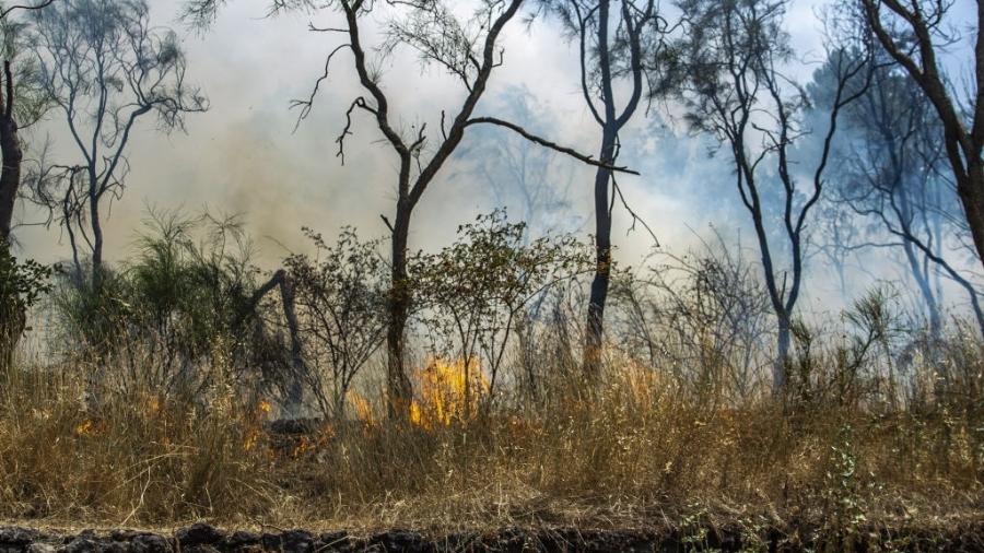 Sicília decretou estado de emergência pelo fogo na região; O incêndio também atingiu o Parque Regional Etna - Salvatore Allegra/Anadolu Agency via Getty Images