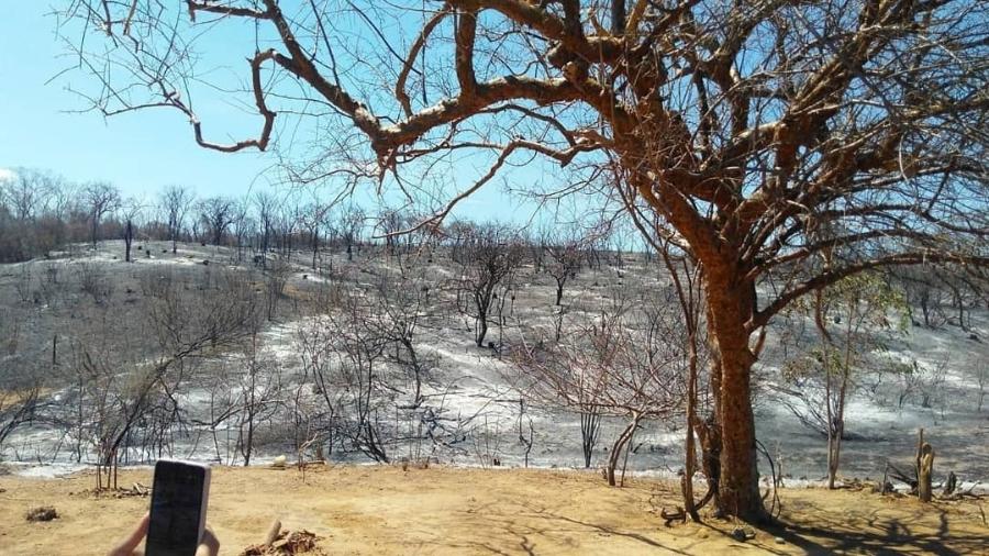 Incêndio vem consumindo a Serra da Capivara, no Piauí - Reprodução/Instagram/Prefeitura de São Raimundo Nonato