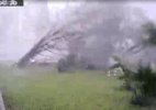 Árvore é arrancada pelo vento no Paraná; há alerta de tempestades no estado - Cedido ao UOL/Rubens Almir Such