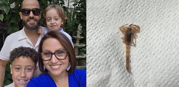 Família do interior de SP deixa imóvel após encontrar 10 escorpiões em casa