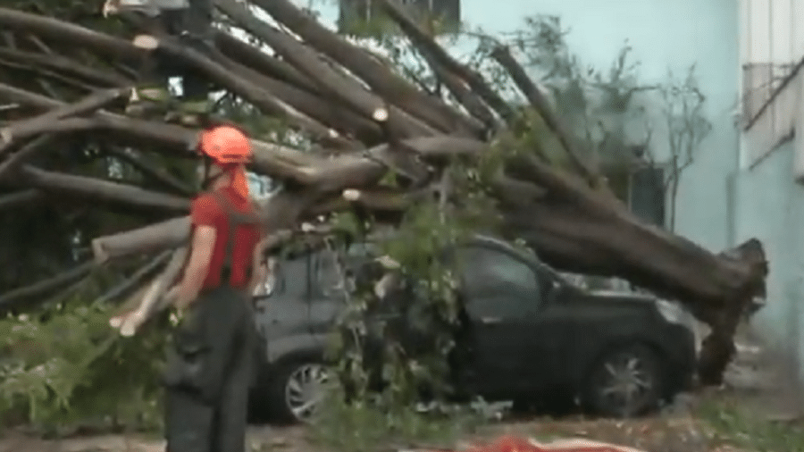 Uma árvore caiu sobre um veículo após forte chuva em São Paulo - Reprodução/TV Band