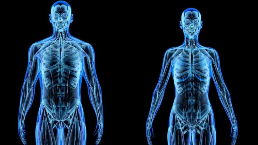 Corpo humano é formado de átomos - Getty Images