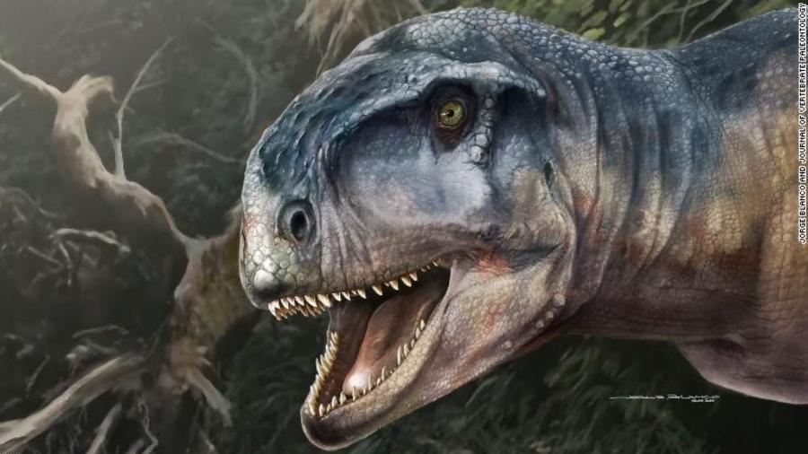 Dinossauro Llukalkan aliocranianus tem nome que significa "aquele que dá medo"  - Divulgação/Journal Of Vertebrate Paleontology/Jorge Blanco 