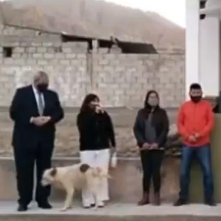 Susana Prieto fazia um discurso transmitido ao vivo no Facebook quando um cachorro urinou nela - Reprodução/Twitter/@jujuysincontext