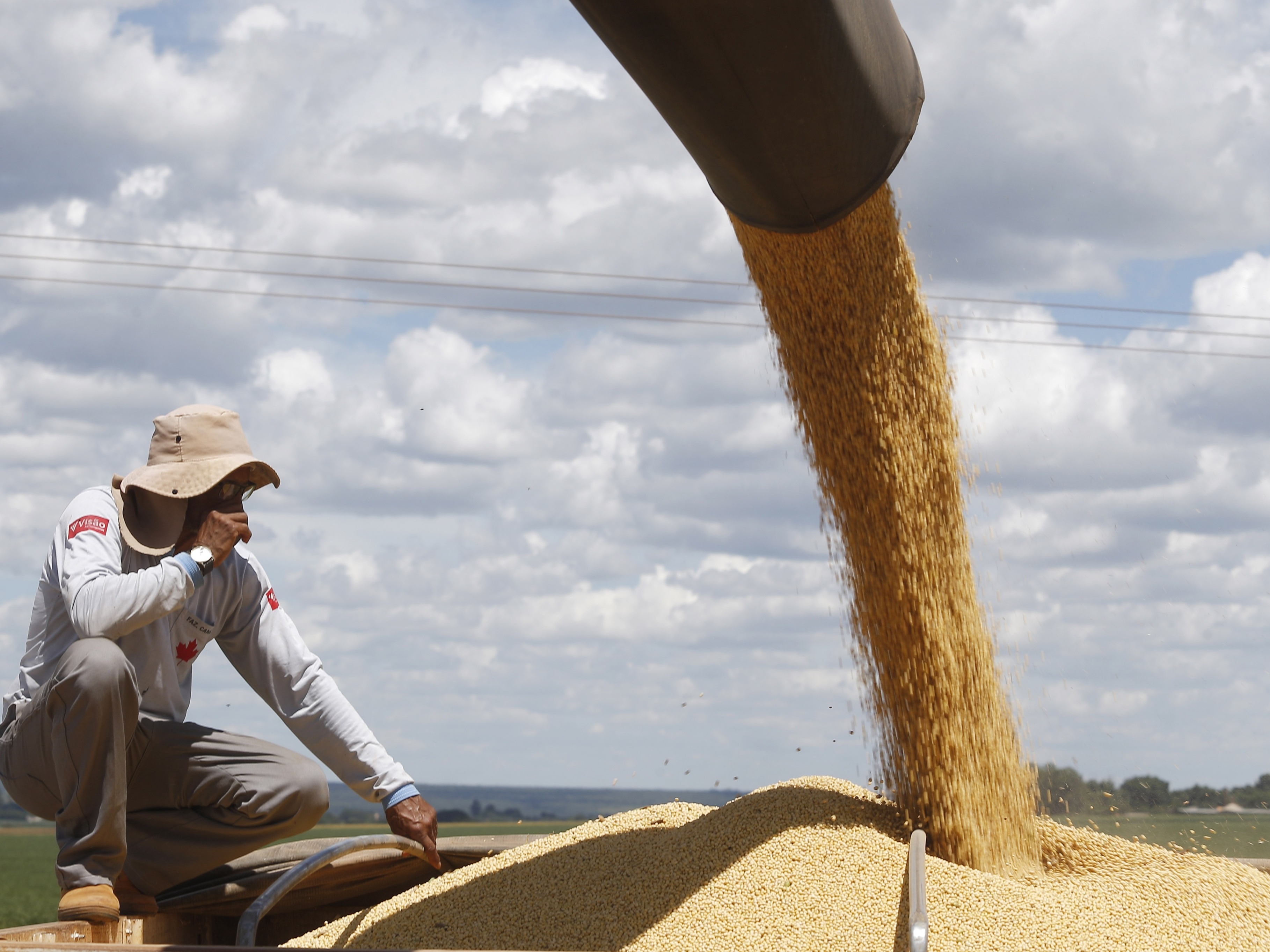 Menor produção de soja limita PIB do agro; tragédia no RS será novo entrave