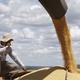Agrishow: entenda nova linha de crédito de até R$ 10 bilhões para o agro - Lúcio Távora/Xinhua