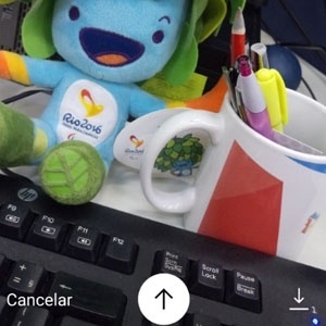 Reprodução Reprodução