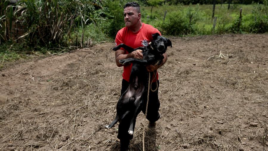 Cachorro é resgatado pelo bombeiro Leoncio Valverdes nas proximidades da área onde ficava a pousada Nova Estância, em Brumadinho (MG), atingida pelo rompimento de uma barragem da mineradora Vale - Pedro Ladeira/Folhapress