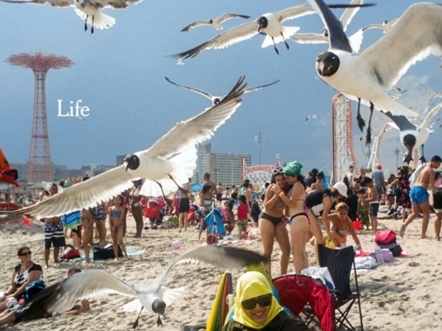 "A verdade é essencial"