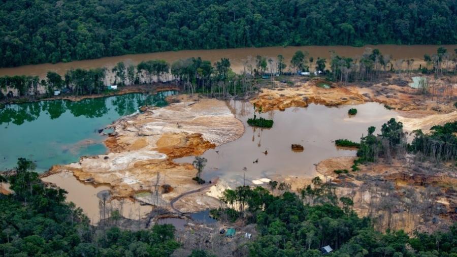 Garimpo ilegal devasta florestas  - Divulgação/ISA